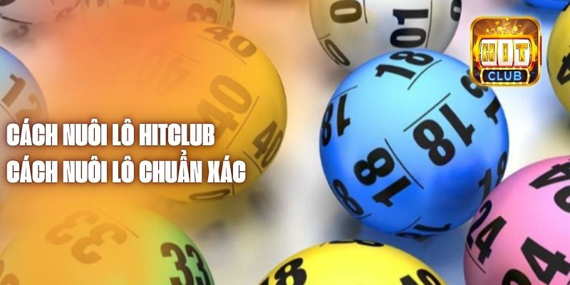 Cách Nuôi Lô Hitclub - Cách Nuôi Lô Chuẩn Xác 