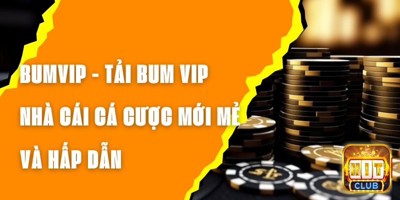 BUMVIP - Tải BUM VIP Nhà Cái Cá Cược Mới Mẻ Và Hấp Dẫn